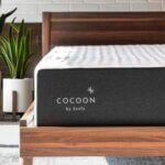 MA   Cocoon   Featured Image
